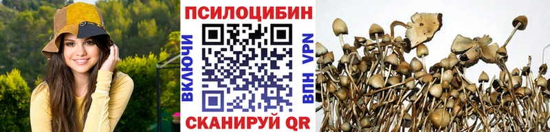 где найти наркотики  Спасск  Галлюциногенные грибы мухоморы 